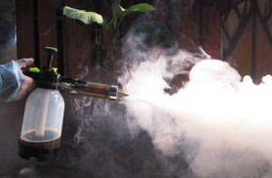 Fumigation Services Chepstow