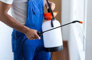 Pest Control Services in Borehamwood Hertfordshire