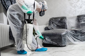 Pest Control Services in Luton Bedfordshire