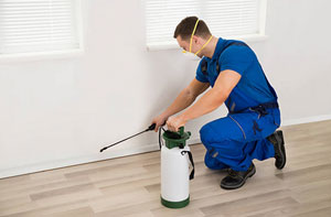 Pest Control Waterlooville Hampshire