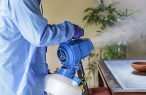 Fumigation Services Four Marks